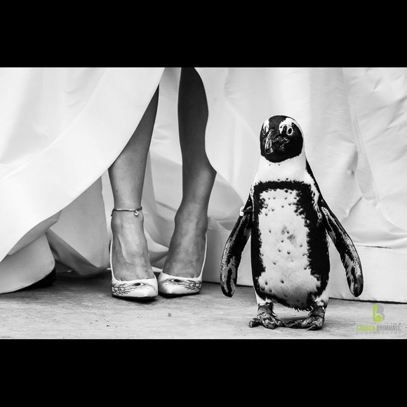 Meet your Posher! π - Picture 2 of 5